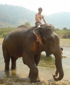 mikelin_chiangmai Mike Lin traveling on elephant