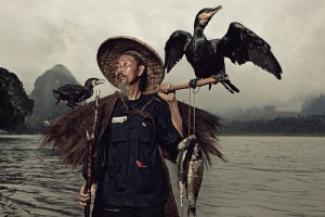 chinese cormorant fisherman guilin yangshuo 