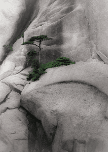 huang shan mountains hiking